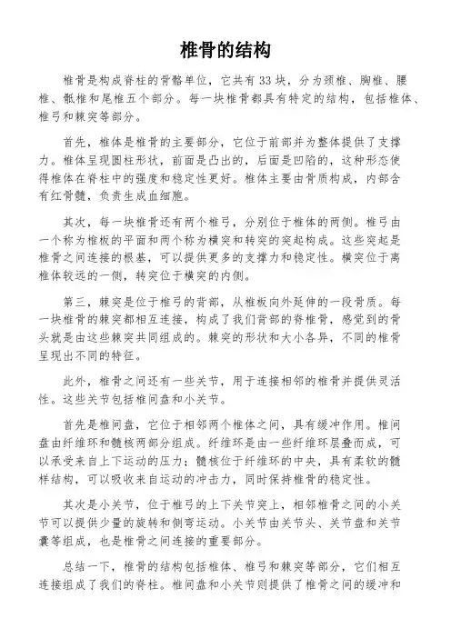 椎骨的结构