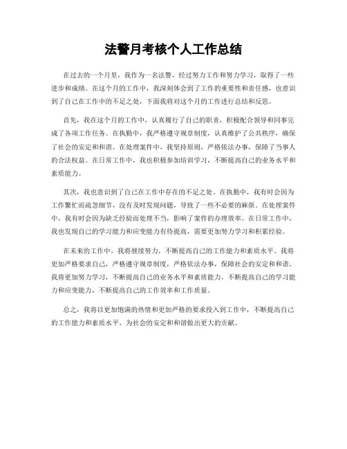 法警月考核个人工作总结