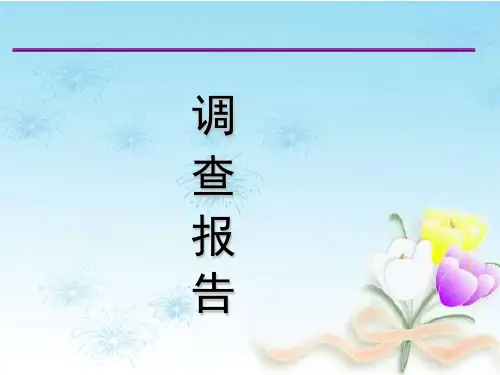 调查报告写法概述(PPT 46页)