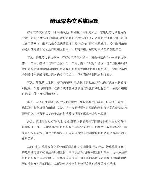 酵母双杂交系统原理