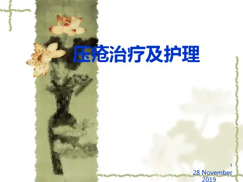 压疮治疗与护理PPT课件