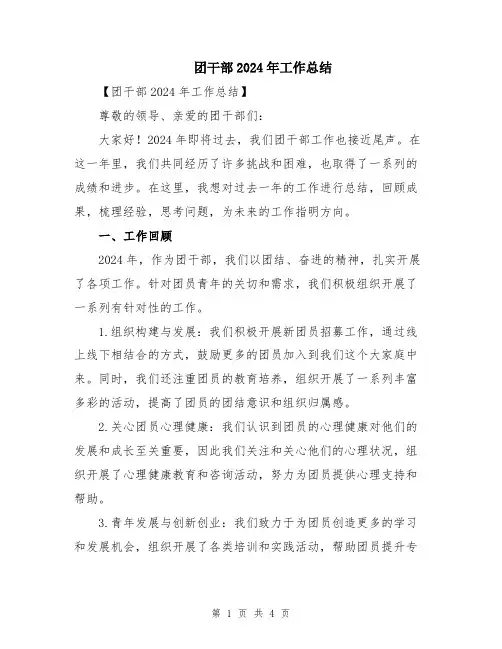 团干部2024年工作总结