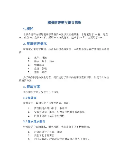 隧道病害整治报告模板