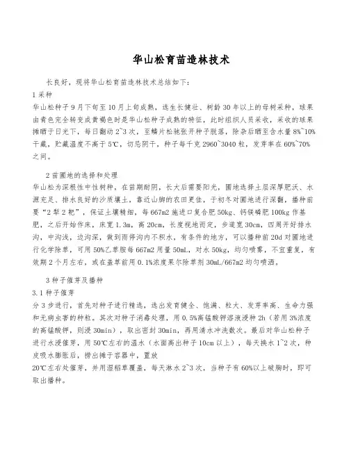 华山松育苗造林技术