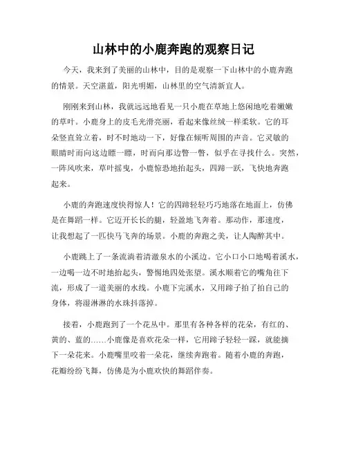 小学三年级作文山林中的小鹿奔跑的观察日记
