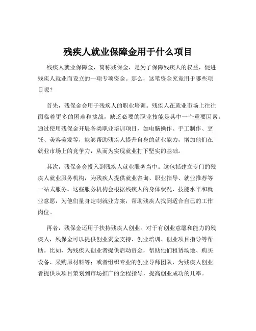 残疾人就业保障金用于什么项目