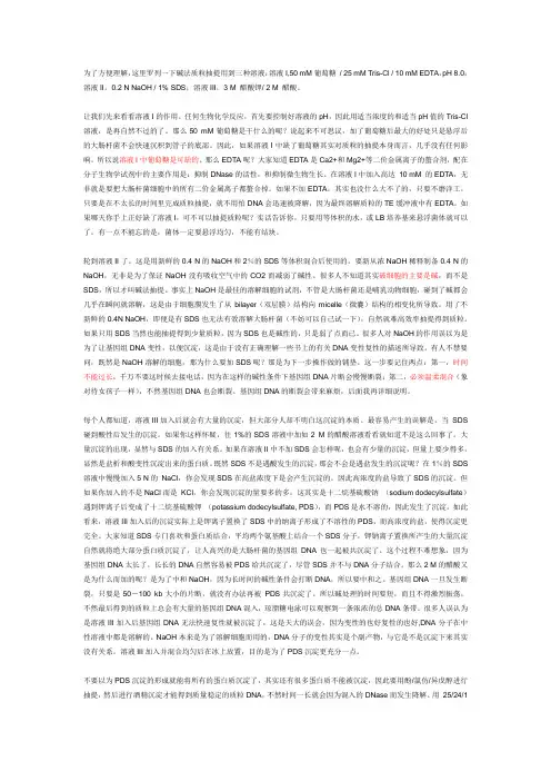 质粒抽提原理