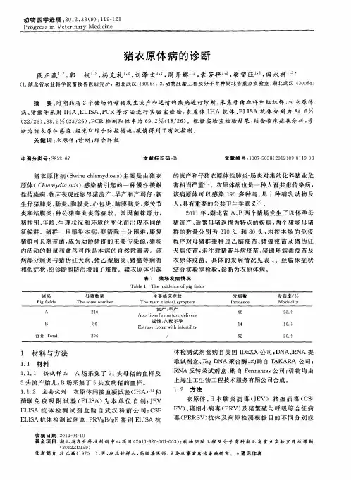 猪衣原体病的诊断