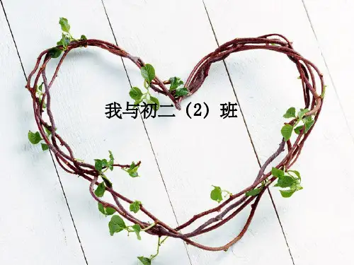 集体荣誉感主题班会