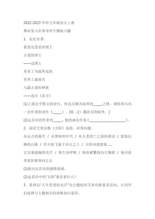 九年级语文上册期末复习名著导读专题练习题(含答案)