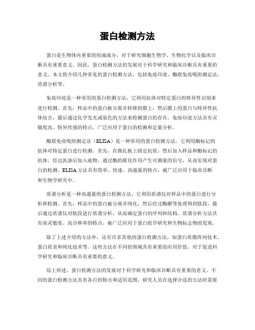 蛋白检测方法