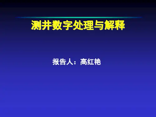 测井数字处理与解释