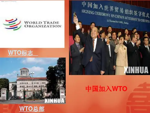 国际经济竞争与合作ppt