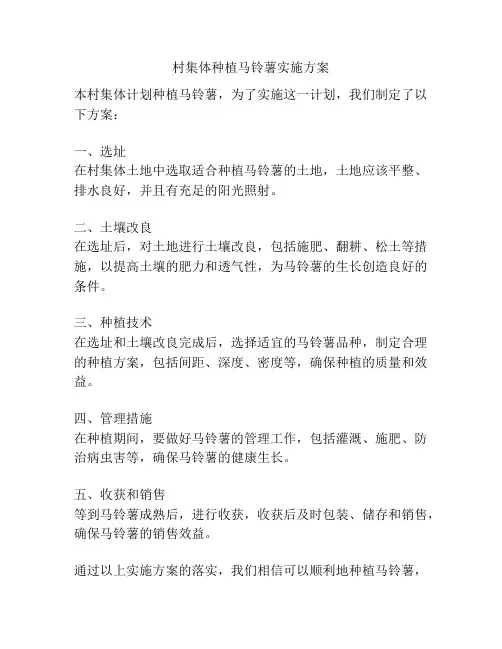 村集体种植马铃薯实施方案