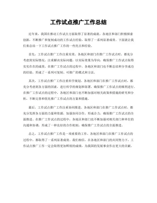 工作试点推广工作总结