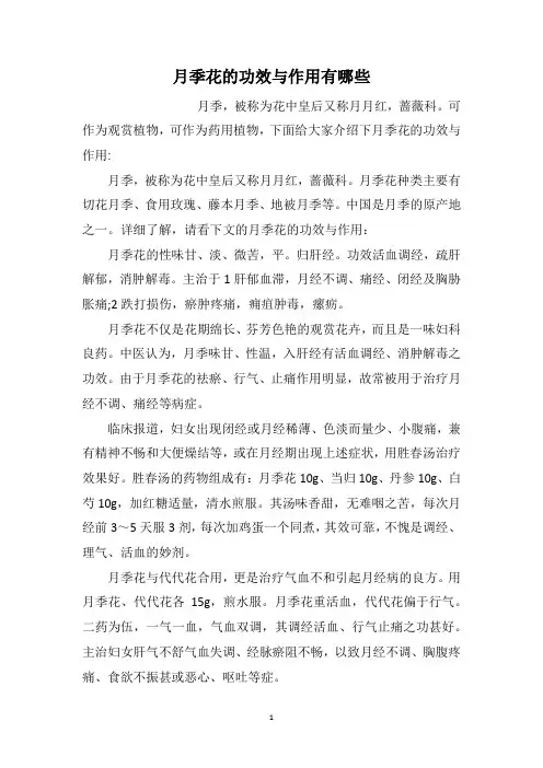 月季花的功效与作用有哪些
