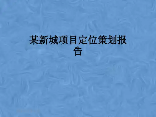 某新城项目定位策划报告