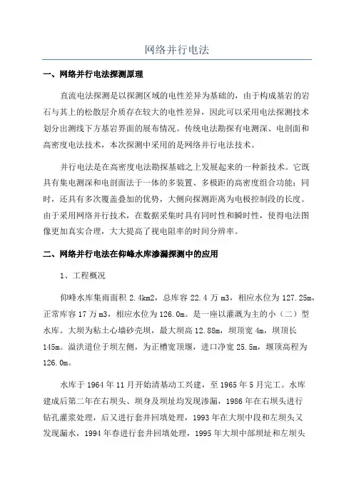 网络并行电法