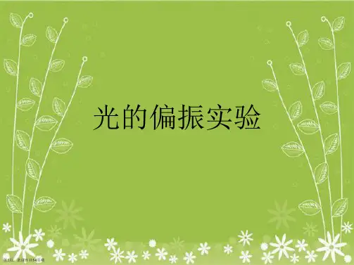 光的偏振实验