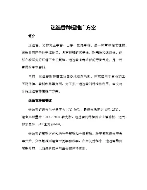 迷迭香种植推广方案