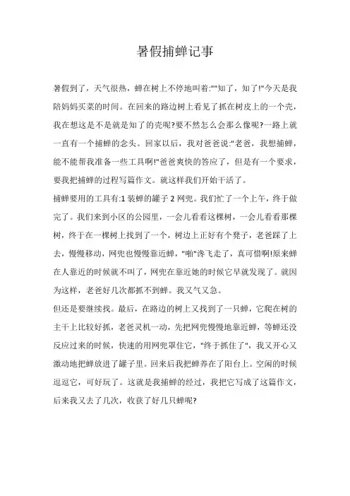 五年级叙事暑假捕蝉记事