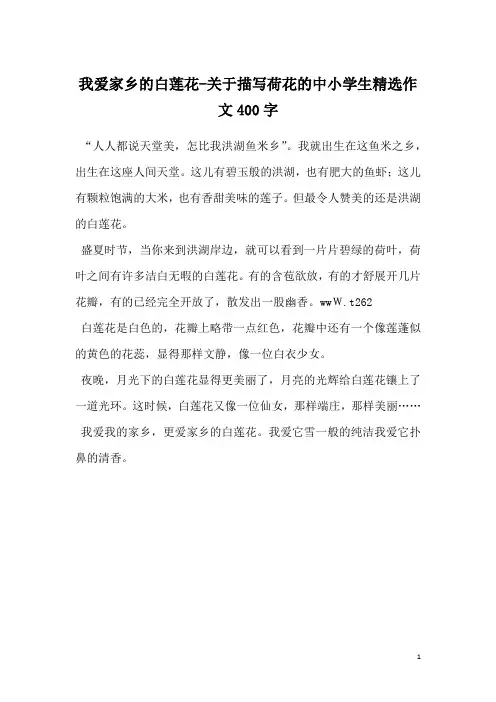 我爱家乡的白莲花-关于描写荷花的中小学生精选作文400字