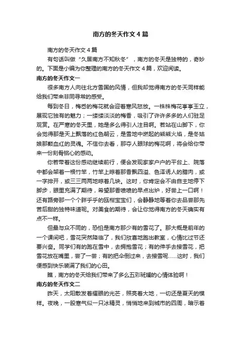 南方的冬天作文4篇