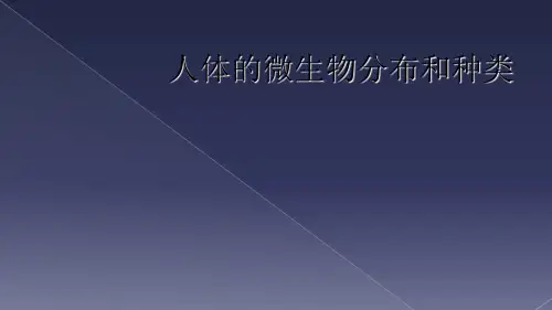 人体的微生物分布和种类