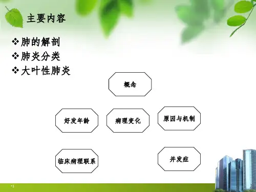 大叶性肺炎PPT演示课件