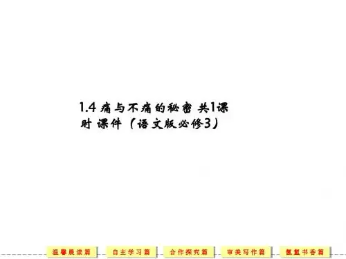 1.4 痛与不痛的秘密 共1课时 课件(语文版必修3)