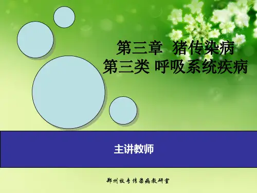 猪接触性传染性胸膜肺炎 优秀课件