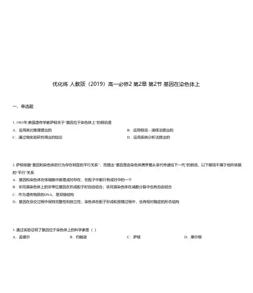 优化练 人教版(2019)高一必修2 第2章 第2节 基因在染色体上