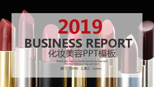 圣罗兰口红内部营销方案PPT