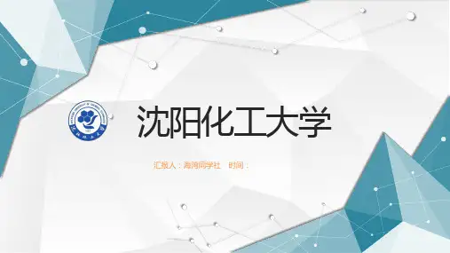 沈阳化工大学专用-商务风格-PPT模板2
