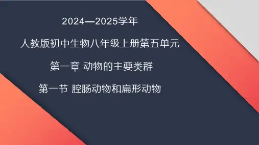 腔肠动物和扁形动物ppt课件