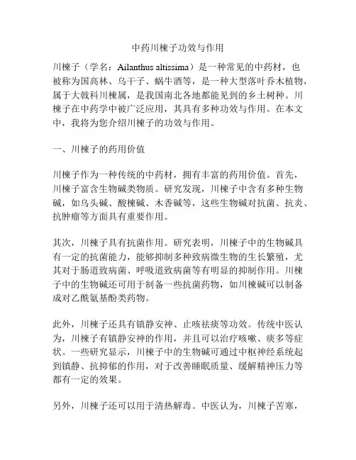 中药川楝子功效与作用