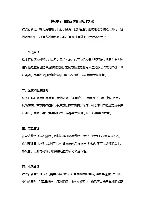 铁皮石斛室内种植技术