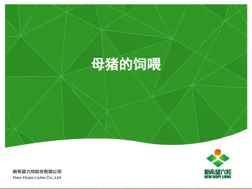 新希望六和母猪料