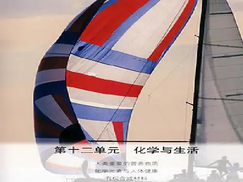 九年级化学下册 12.1 人类重要的营养物质课件 新人教
