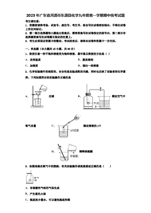 2023年广东省河源市东源县化学九年级第一学期期中统考试题含解析