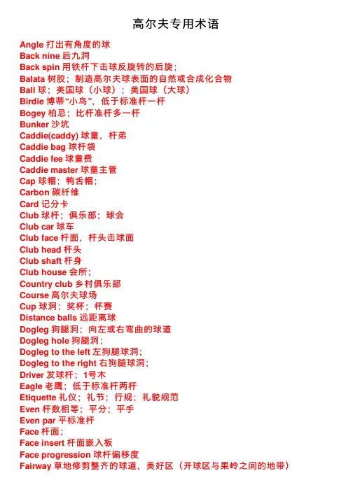 高尔夫专用术语