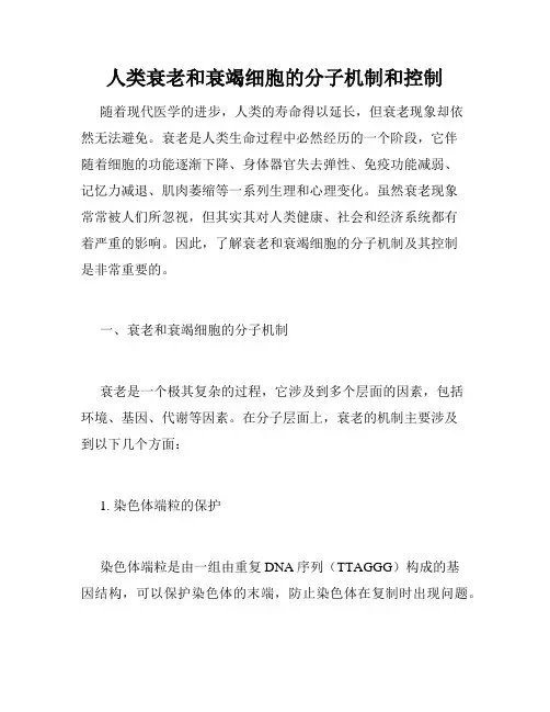 人类衰老和衰竭细胞的分子机制和控制