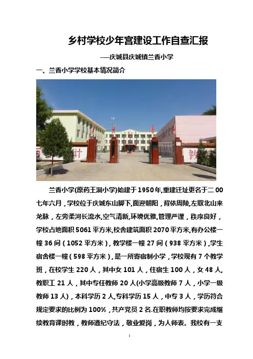 乡村学校少年宫汇报材料