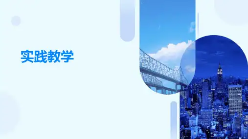 《实践教学》课件