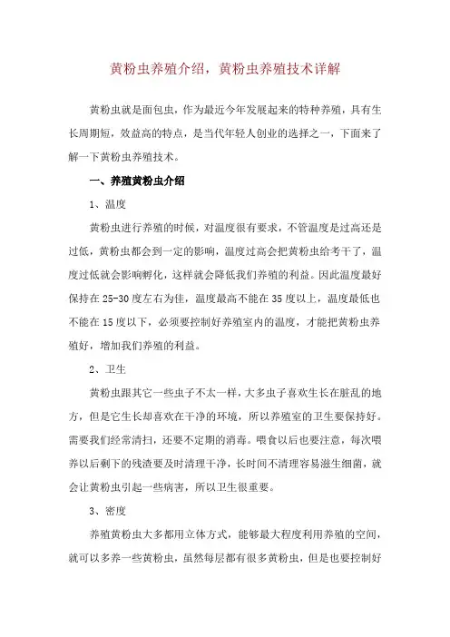 黄粉虫养殖介绍,黄粉虫养殖技术详解