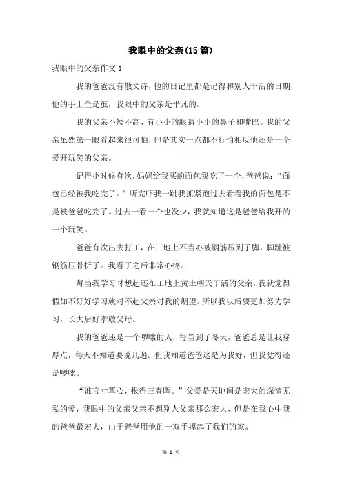 我眼中的父亲(15篇)