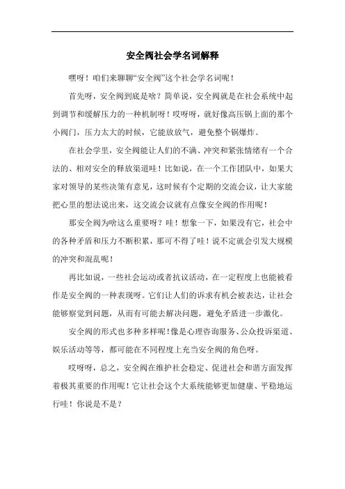 安全阀社会学名词解释