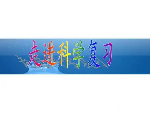 走进科学 复习 小班