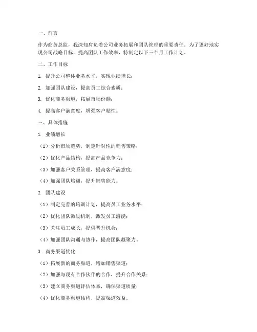 商务总监三个月工作计划