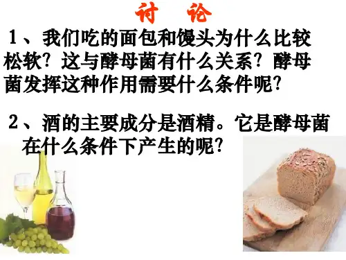 高一生物探究酵母菌细胞呼吸的方式(201911整理)